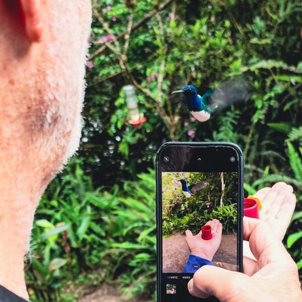 Mindo Birds and Adventure