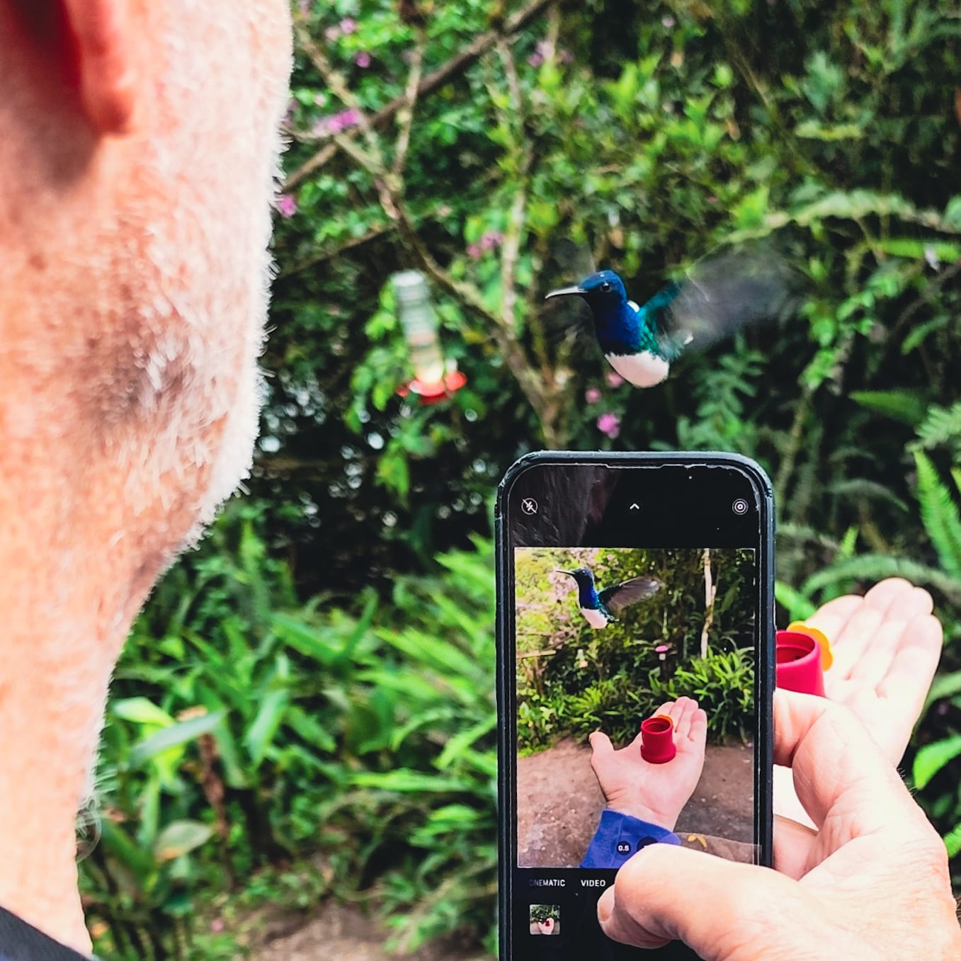 Mindo Birds and Adventure
